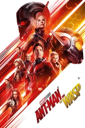 Ant Man and the Wasp (2018) Hindi (Org) Dual Audio 720p BluRay [1.1GB]