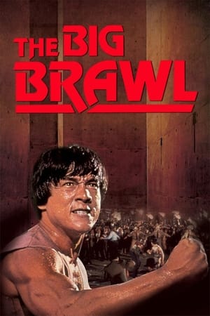 Battle Creek Brawl (1980) Hindi Dual Audio 480p BluRay 300MB