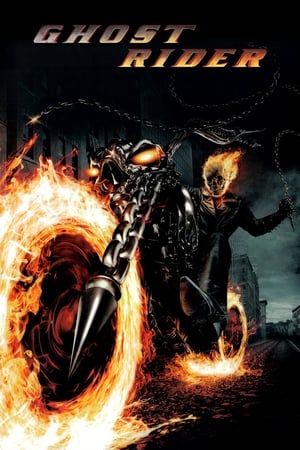 Ghost Rider (2007) Hindi Dual Audio 480p BluRay 400MB