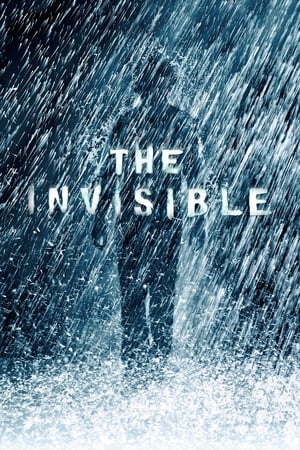 The Invisible 2007 Hindi Dual Audio 480p BRRip 300MB