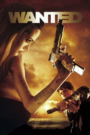 Wanted (2008) Hindi Dual Audio 480p BluRay 360MB